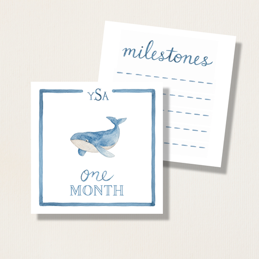 Hand Painted Watercolor Whales Baby Monthly Milestone Cards