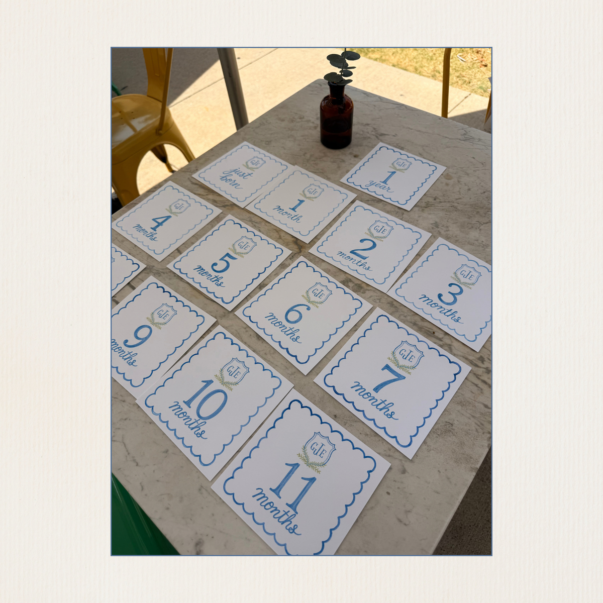Hand Painted Watercolor Baby Monthly Milestone Cards with Custom Initial Crest